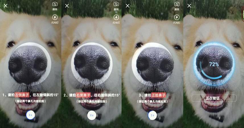 اسکن بینی سگ برای تشخیص هویت
