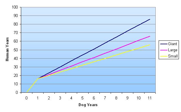 معادل‌سازی سن سگ نسبت به سن انسان