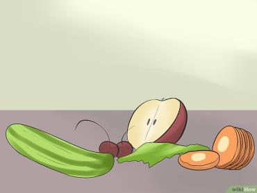 استفاده از میوه‌ها و سبزیجات برای تغذیه قناری
