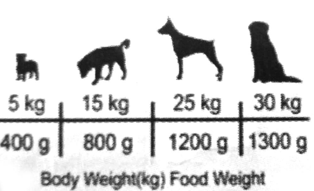 مقدار مصرف بر اساس وزن سگ