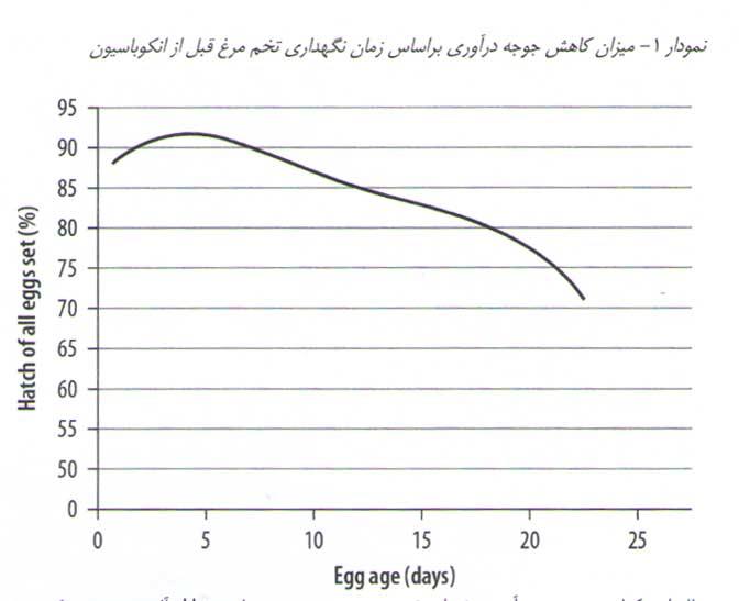 میزان کاهش جوجه درآوری براساس زمان نگهداری تخم مرغ قبل از انکوباسیون
