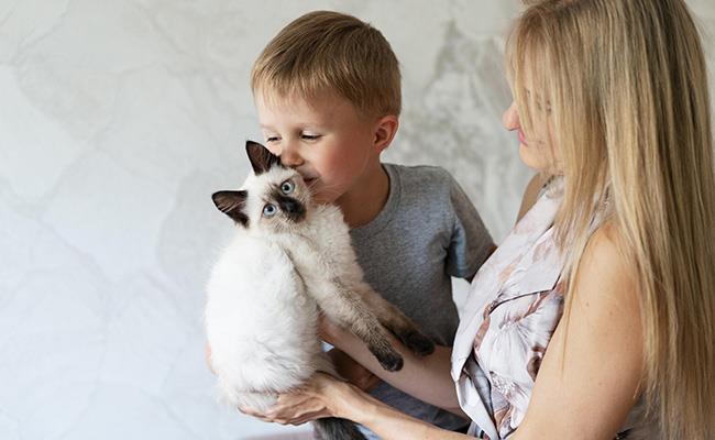 گربه و کودک: 6 راز برای زندگی موفق